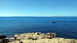 Rosas - Le Phare - 25